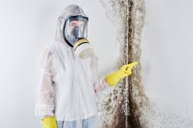 Best Biohazard Mold Removal  in Hemby Bridge, NC